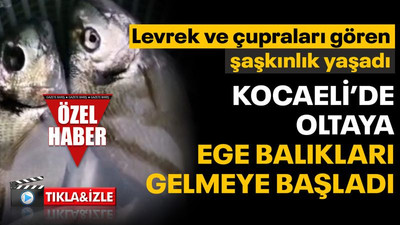 Kocaeli’de kıyıdan levrek ve çupra avlandı, görenler şaştı kaldı